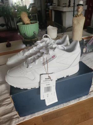 Reebook classic  - Reebook classic helt oanvända storlek 37.5