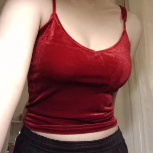 Röd topp - Fint skick, knappt använd. Den är röd velvet. Justerbara band.  Skriv gärna om du har frågor😊