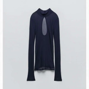 Genomskinlig topp - Genomskinlig tröja från zara med cut out i ryggen,marinblå☺️ helt ny med prislapp kvar💓 säljs inte längre