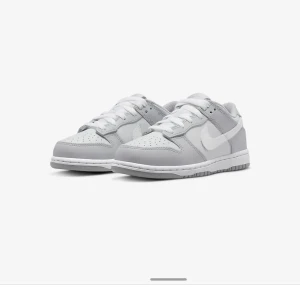 Low dunks - Helt nya low dunks ”two tone grey”. Nyskick, 10/10 Nypris 3000kr