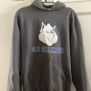 Hoodie  - Ny skick!