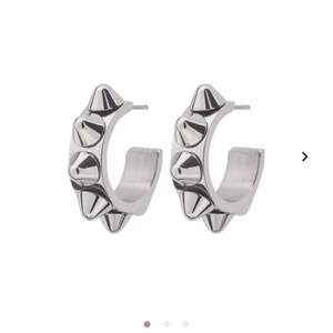 Edblad örhängen  - Fick dessa i julklapp andvändning en gång då de inte är min stil ( saknar baksida )