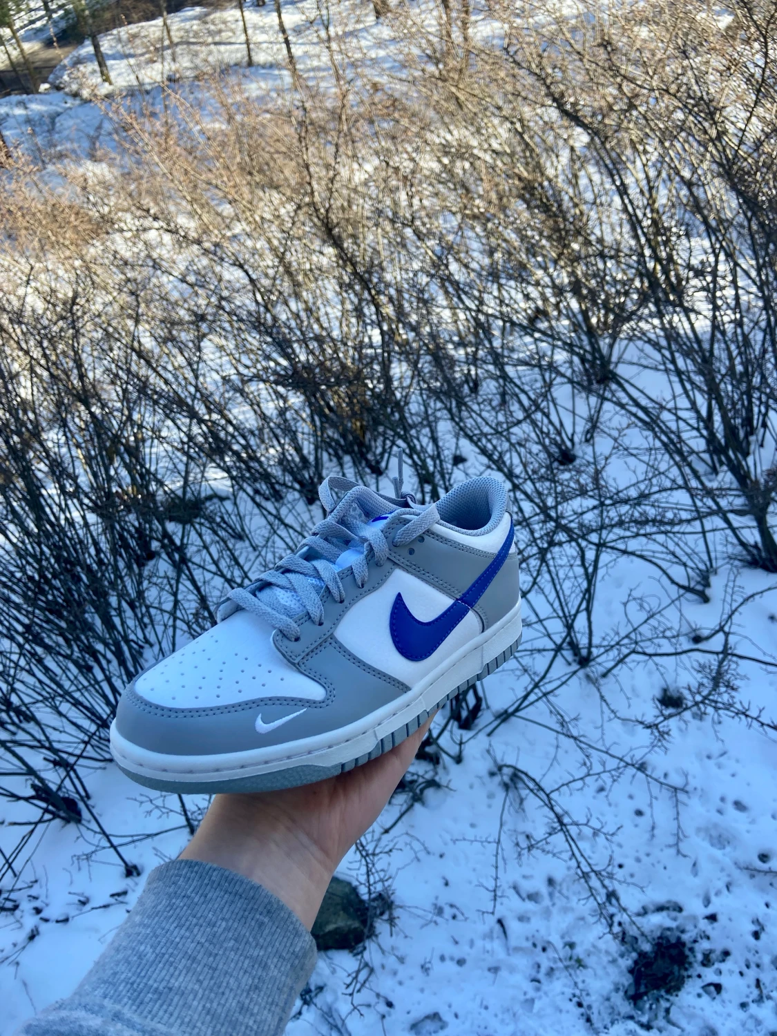 Nike Dunk Low Royal Grey