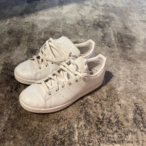 Adidas Stan Smith - Vita stan smith strl 37 1/3🤍