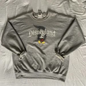 disney sweatshirt  - säljer denna pga kommer tyvärr till användning, jätte mysig och varm grå tröja i strl L !!!!!! (köpt secondhand) kontakta mig om ni är intresserade 💞💞