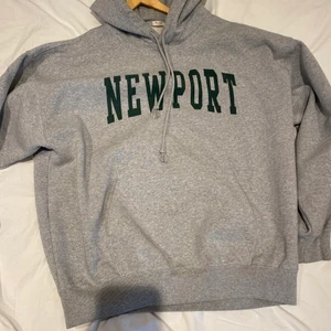 Brandy Melville newport christy hoodie grå - Brandy Melville grå newport christy hoodie, använts några få gånger och är i väldigt bra skick. Sälje eftersom den inte används (köparen står för frakten)
