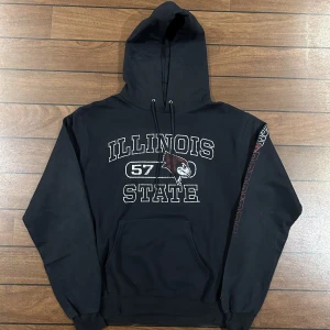 Champion Illinois Hoodie - Snygg vintage Hoodie i storlek S! Bara att skriva om du undrar över något🙏