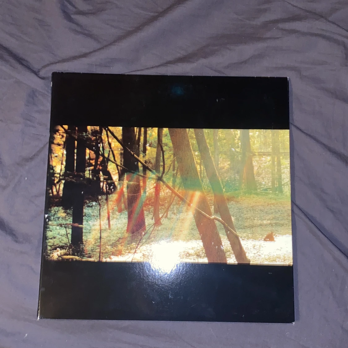 Childish gambino camp vinyl