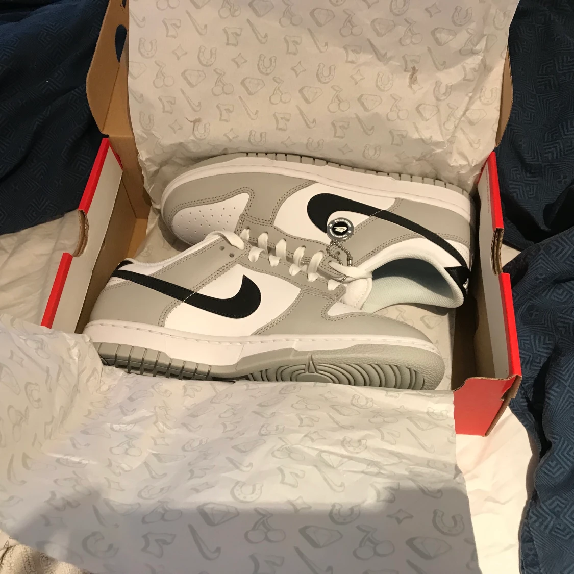 Nike dunk Low lottery