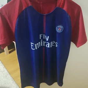 Paris - För stor för min son 