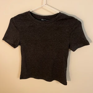 Söt tight t-shirt  - Snygg mörkgrå tight T-shirt från Zara. Något croppad. Bra skick. 