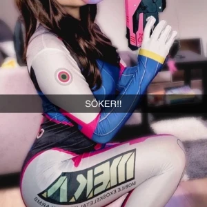 Söker efter hennes cosplay kläder  - Desperat här😔
