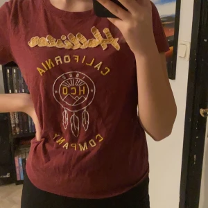 Hollister T-shirt  - Röd T-shirt från hollister med gula detaljer. Frakt tillkommer.