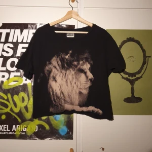 Svart oversized t-shirt med lejonmotiv - Jättecool och trendig t-shirt från weekday som jag har croppat själv. Rätt oversized. Gott skick. Köparen står för frakten. Samfrakt erbjuds.