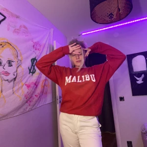 Brandy Melville sweater  - Brandy Melville tröja så de är en one size 