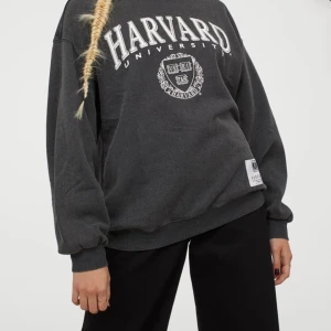 Tröja  - Snygg tröja från H&M, köpt för 249kr och säljer för 100kr eller högsta bud🤩