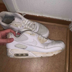  - Fina Nike air Max skor 