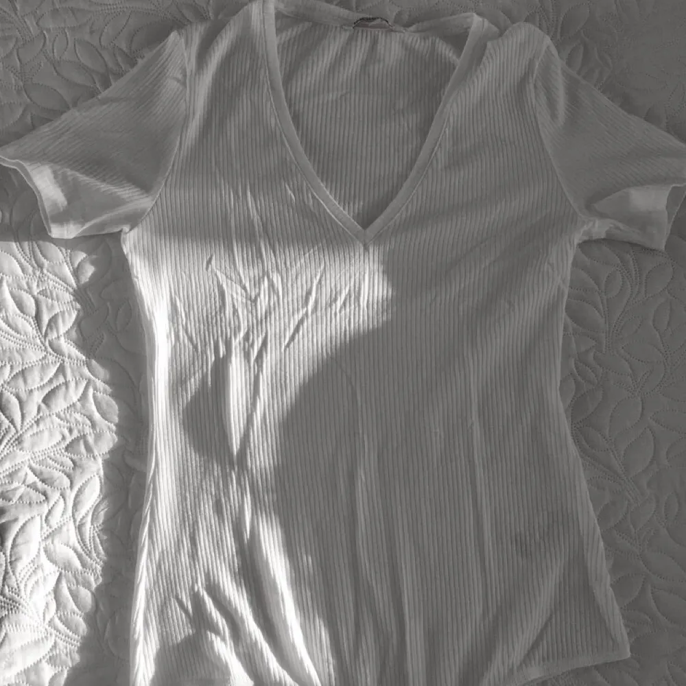 Body white. T-shirts.