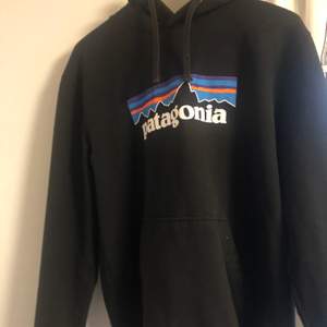 Fin Patagonia hoodie i fint skick, storlek M. Du betalar för frakt!