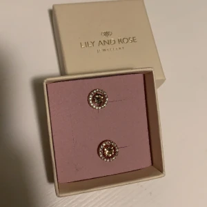 Super söta oanvända örhängen från Lily and Rose!💞 - Jag säljer ett par super gulliga, helt oanvända örhängen från Lily and Rose. Fick dem i present men dem har tyvärr inte kommit till användning då de inte riktigt är min stil. Perfekta som present eller att ha själv! 💞 
