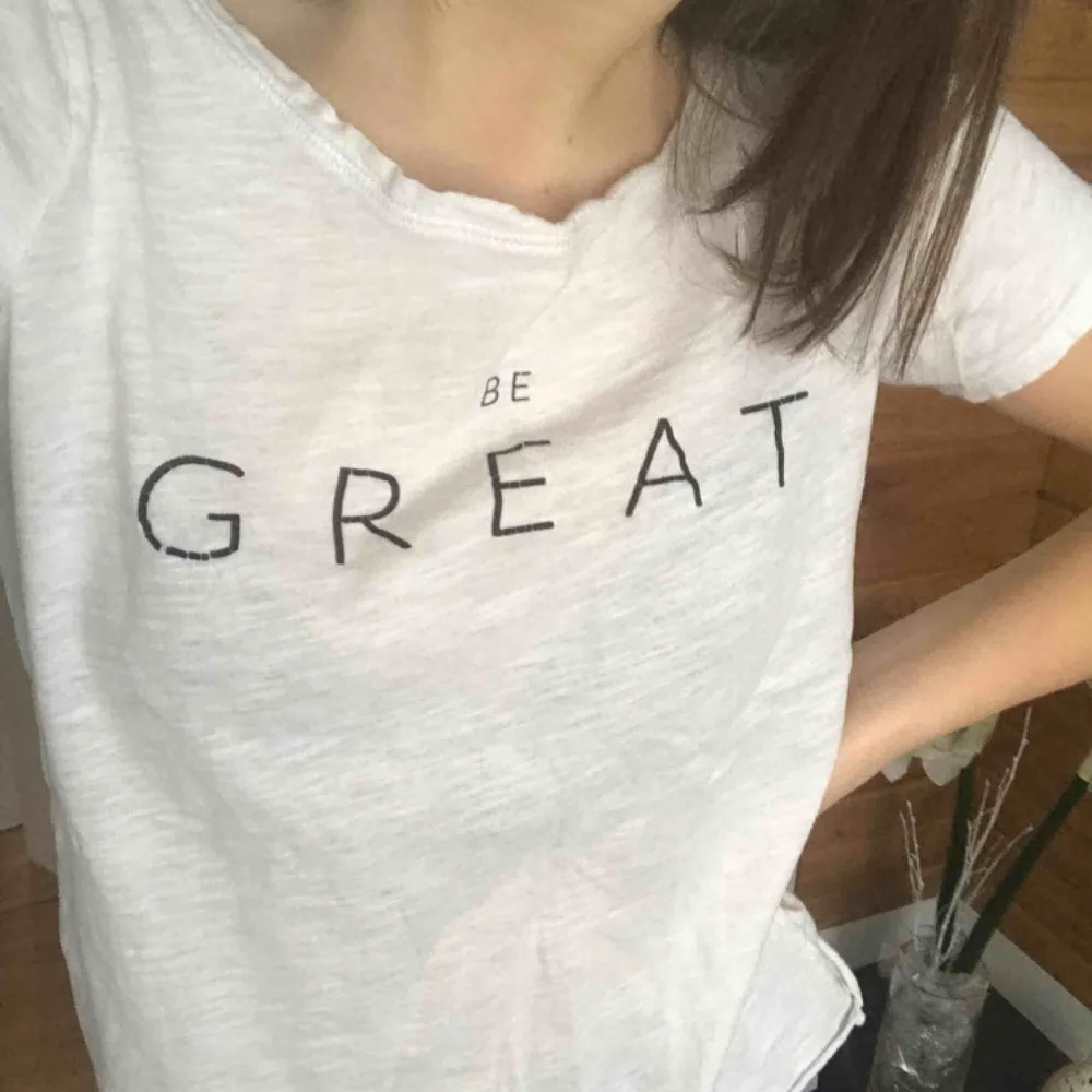 Lite genomskinlig men inget man tänker på ”Be great” Frakt tillkommer. T-shirts.