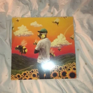 Tyler the Creator vinyl - Tyler the creator’s ”Flower Boy” på vinyl. Köpt på bengans, knappt använd🌸