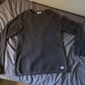 Grå långärmad tröja Jack & Jones - En stilren grå långärmad tröja från Jack & Jones i storlek L. Tröjan har en enkel design med rund halsringning och är tillverkad i ett mjukt bomullsmaterial. Perfekt för lager-på-lager och passar till många olika outfits.