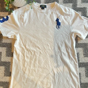 Big pony Ralph Lauren T-shirt - Plagget har inga defekter, exempelvis fläckar eller hål. Skriv om ni undrar något, kanske mått eller frågor.
