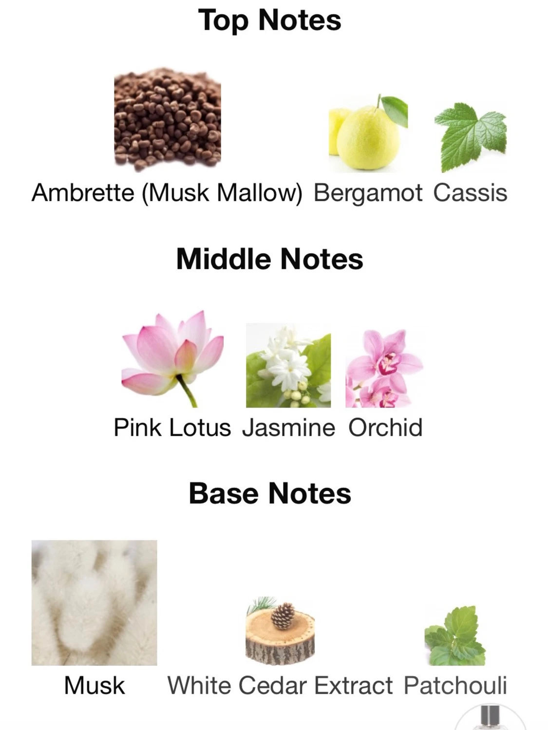 Ellis Brooklyn Myth Eau de Parfum 10 ml - 4