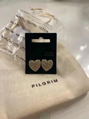 Pilgrim guld örhängen  - Söta guld örhängen från Pilgrim. Helt nya aldrig använda. Skickar med i Pilgrim påsen.