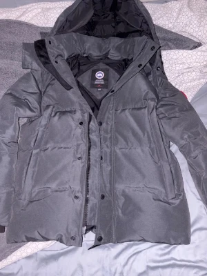 Canada goose och Burberry och Moncler - Canada goose jacka Moncler vindjacka Burberry kofta