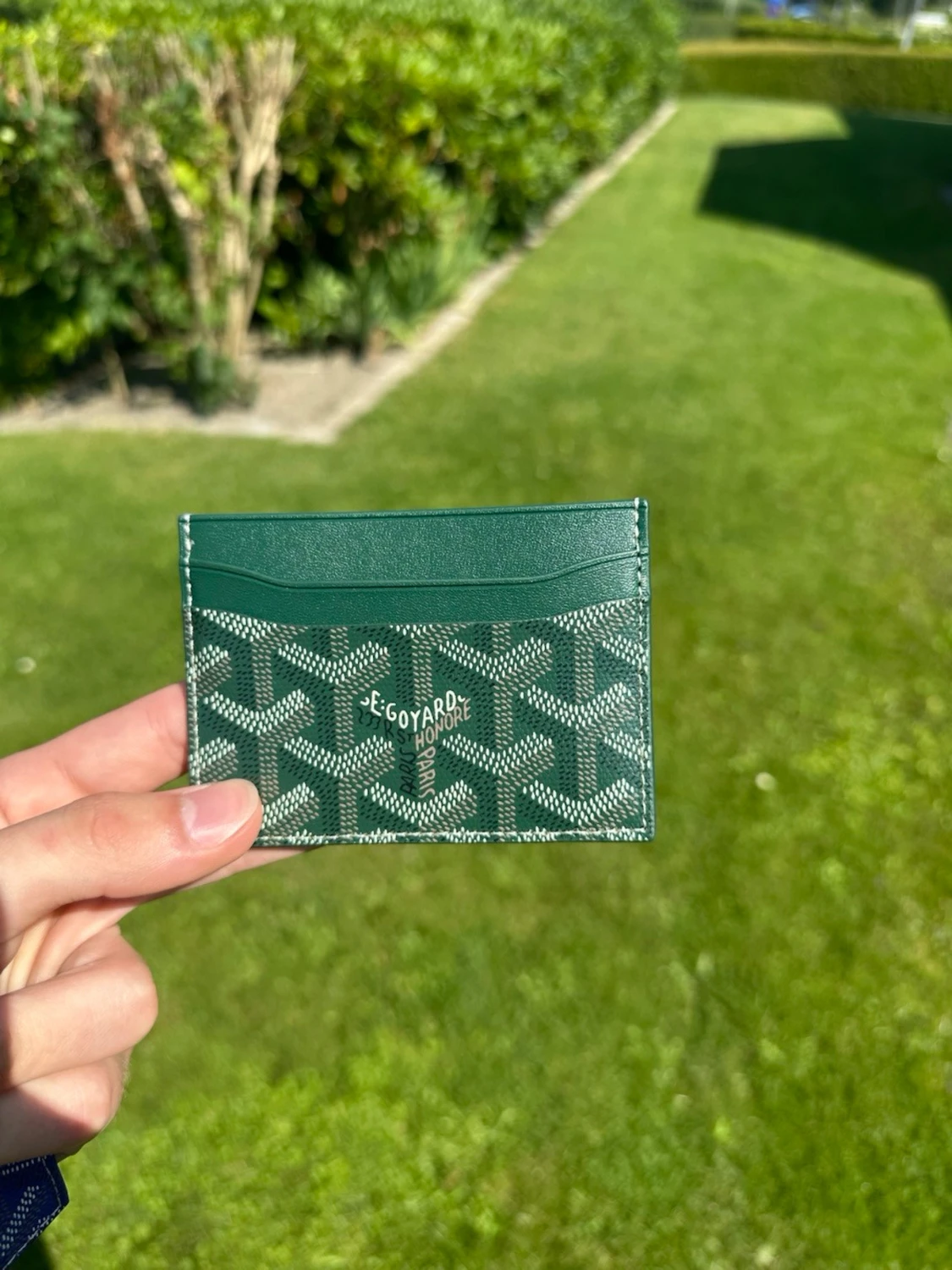 Grön Goyaard plånbok