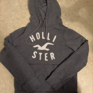 Mörkgrå hoodie från Hollister S - Snygg mörkgrå hoodie från Hollister med stor logga och fågeltryck på bröstet. Tröjan har huva med snörning, magficka och långa ärmar. Perfekt för chill dagar och enkel att matcha med jeans eller joggers. Lite sliten