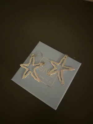 Örhängen  - Örhängena e ej från snö, inte äkta silver💛