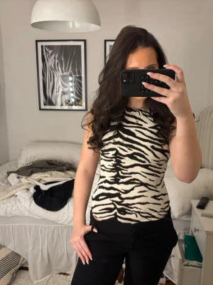 Zebra body - Zebra body