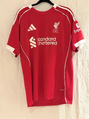 Liverpool tröja Isak #9 - Säljer en röd Liverpool tröja med vita detaljer, broderad klubbmärke och sponsortryck. Perfekt för dig som älskar Liverpool och vill ha en snygg och billig tröja i bra kvalité. Bara att höra av sig vid frågor. 