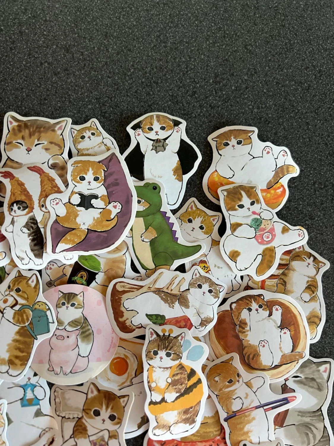 Katt klistermärken  - 3