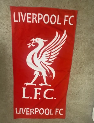 Ingen väst på bilderna - Bilderna visar en röd handduk med Liverpool FC-logga, inte en väst. Ingen väst finns att beskriva eller taxonomier att ta ut.