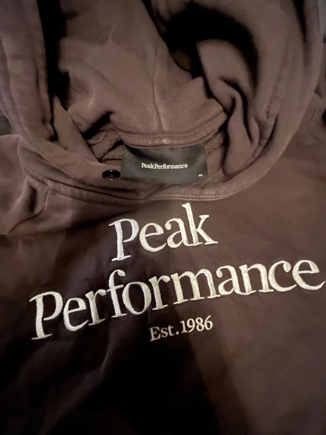 Peak Performance hoodie - 1