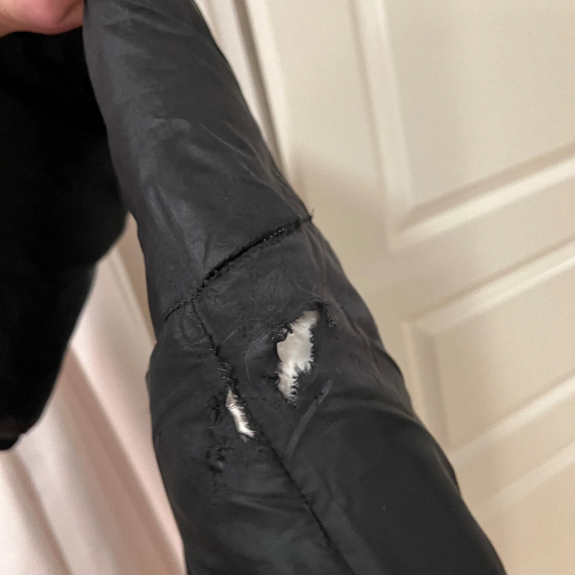 Trasig Canada Goose  - 91