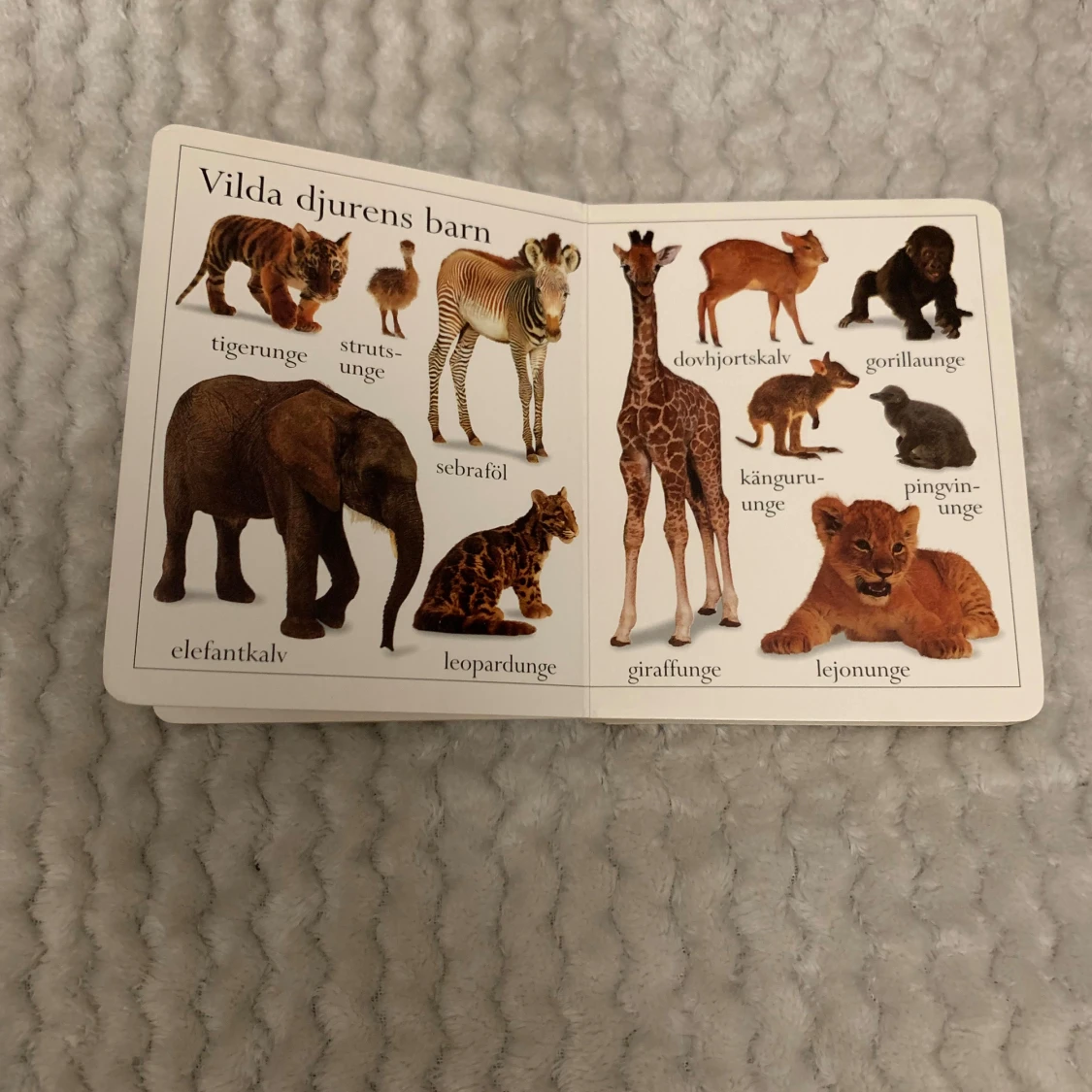 Min lilla djurbok - 4