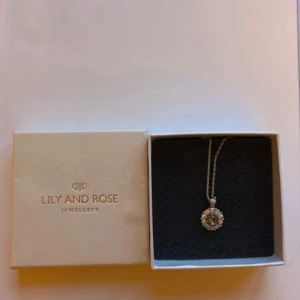 Silverhalsband från Lily and Rose - Elegant halsband i silver från Lily and Rose med rund hängberlock dekorerad med gnistrande stenar. Kedjan är tunn och smidig, perfekt för att ge en glittrig touch till din outfit. Levereras i originalask.