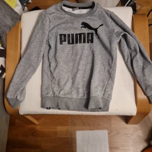 Grå sweatshirt från Puma - Grå sweatshirt från Puma med svart logga och text framtill. Tröjan har rund hals, långa ärmar och ribbade muddar vid ärmslut och nederkant. Mjuk insida och klassisk passform, perfekt för en sportig och avslappnad stil.