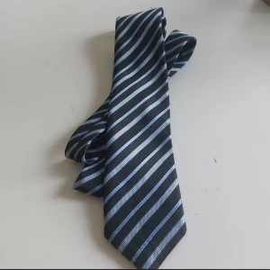 Randigt slips från DanRyan - Snyggt slips från DanRyan med svart bas och tunna diagonala ränder i ljusblått och vitt. Klassisk form och stilren design som passar till skjorta och kavaj. Tillverkat i ett glansigt syntetmaterial som ger en elegant känsla.