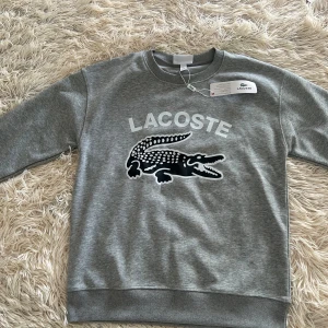 Grå sweatshirt från Lacoste - Säljer en helt ny stilren grå sweatshirt från lacoste. Skick 10/10, Tröjan har långa ärmar och en rund halsringning. Perfekt för en avslappnad stil. Tröjan är storlek M men sitter lika bra om du har storlek S. 