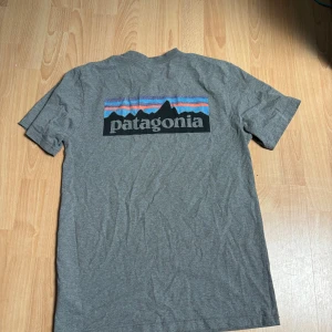 Patagonia T-shirt  - Snygg grå tischa från patagonia med stor logga på ryggen och liten på framsidan i storlek M.           Endast lite nopprig. 