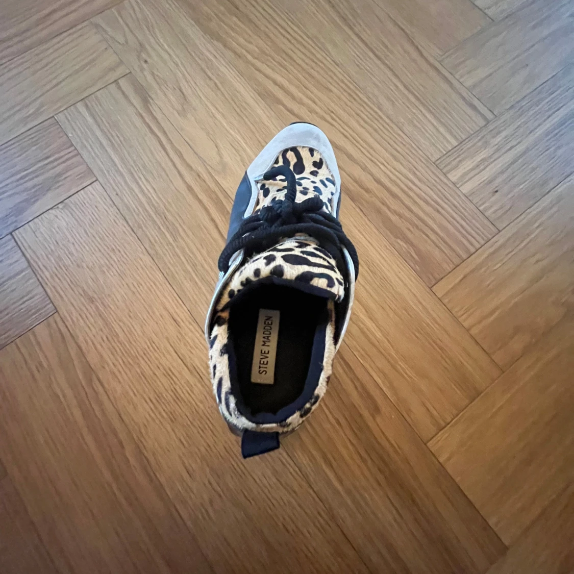 Steve Madden sneakers med leopardmönster