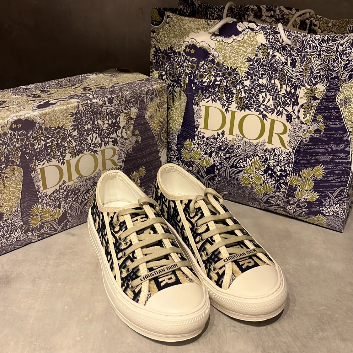 Christian Dior skor