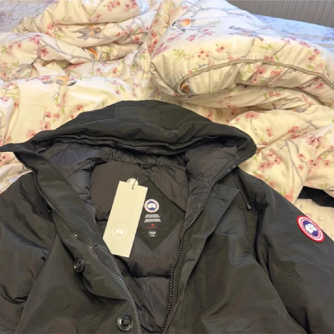 Canada Goose - 2
