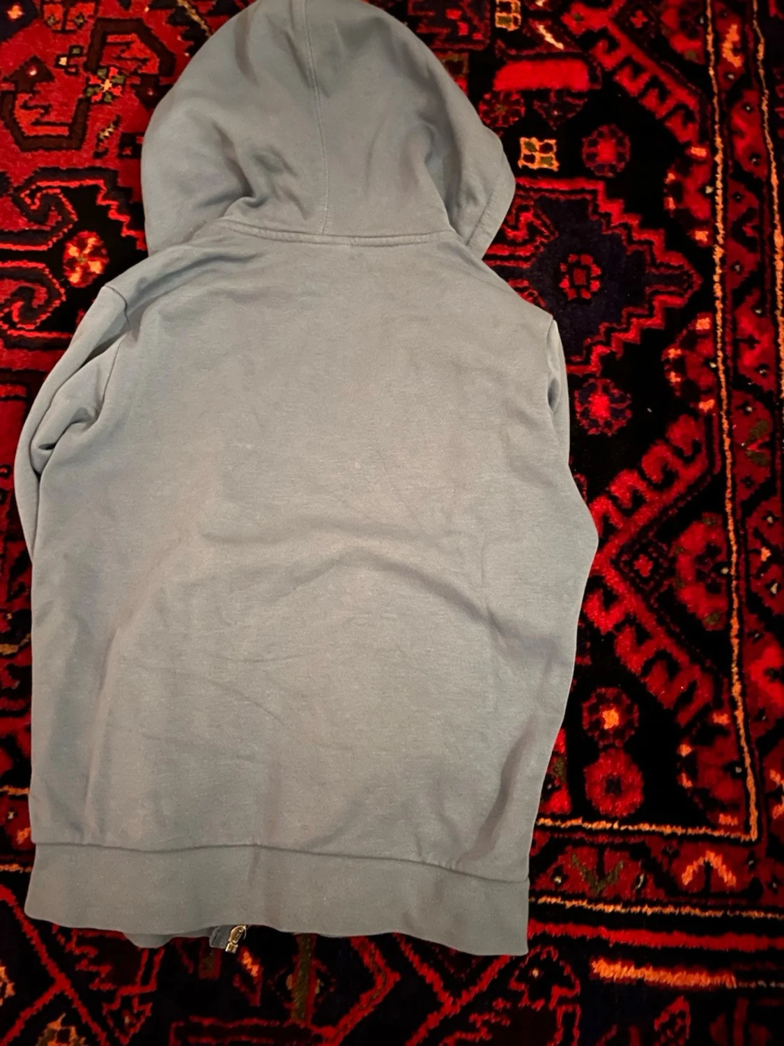 Blå champion hoodie - 1